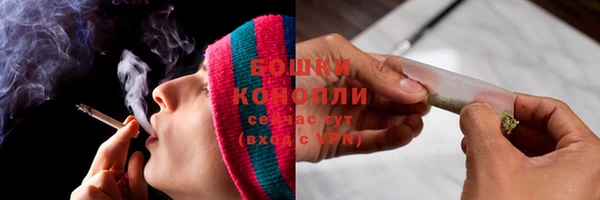 крисы Шадринск