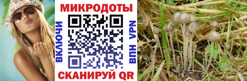 мега ссылка  Болгар  Галлюциногенные грибы GOLDEN TEACHER 